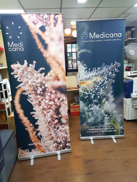 ทำป้าย Roll up Medicana